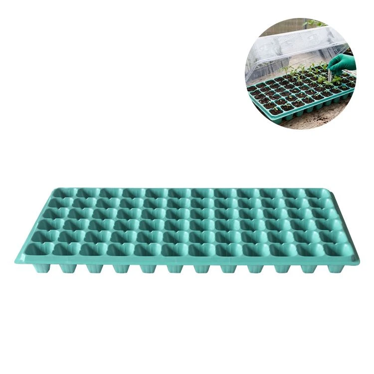 72 Cell Plug Trays