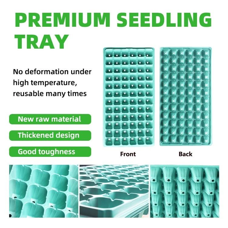 72 Cell Plug Trays factory